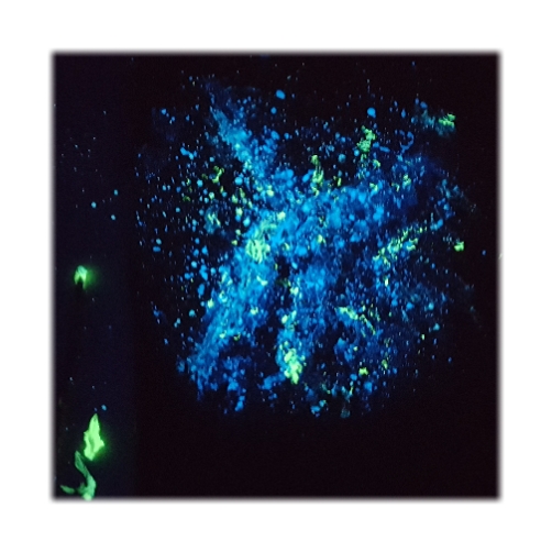 Coluxglow-Airbrush-nachleuchtfarbe-blau